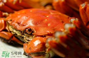 三月份吃什么螃蟹？3月份吃什么螃蟹？