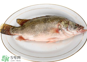 三月份吃什么魚？3月份吃什么魚好？