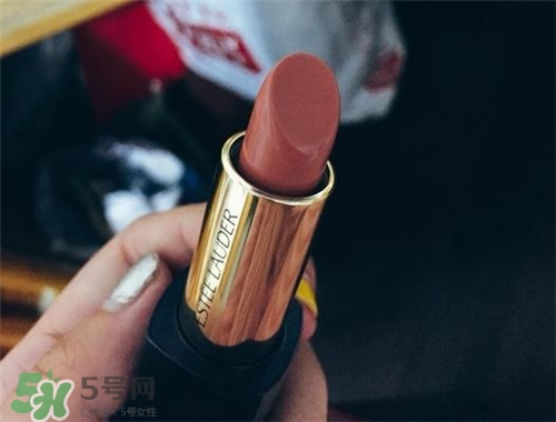 雅詩蘭黛envy110多少錢？雅詩蘭黛傾慕唇膏110價(jià)格