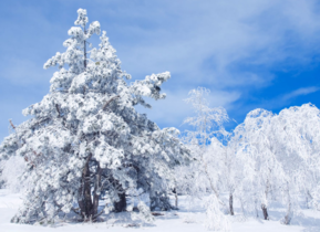 三月份還會(huì)下雪嗎？哈爾濱三月份還有雪嗎？