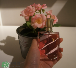 蘭蔻和迪奧香水哪個好？蘭蔻和迪奧香水推薦