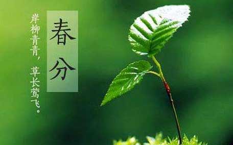 春分時(shí)太陽直射在什么地方 春分時(shí)候氣溫一般在多少度