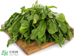薺菜葉子黃了能吃嗎？薺菜發(fā)黃能吃嗎？