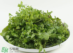 薺菜多少錢(qián)一斤？野生薺菜多少錢(qián)一斤？