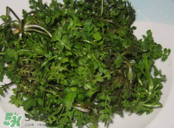 薺菜怎么洗？薺菜怎么洗才干凈？
