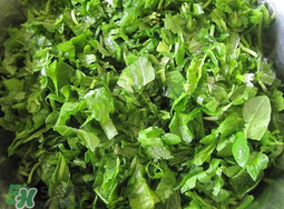 薺菜怎么洗？薺菜怎么洗才干凈？