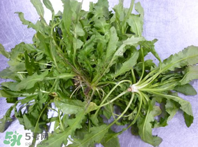 薺菜怎么保鮮？新鮮薺菜如何保鮮？