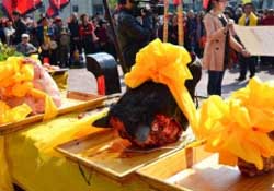 春分可以祭祀嗎？祭祀在春分前還是后？