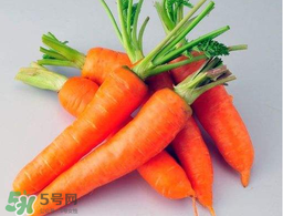 薺菜能和胡蘿卜一起吃嗎？薺菜可以和胡蘿卜一起吃嗎？