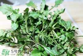 薺菜能和青菜一起吃嗎？薺菜和青菜一起吃好嗎？