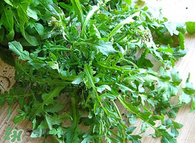 薺菜上有白點能吃嗎？薺菜背面有白點是什么？