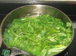 薺菜焯水后冷凍好嗎？薺菜焯水后能放多久？