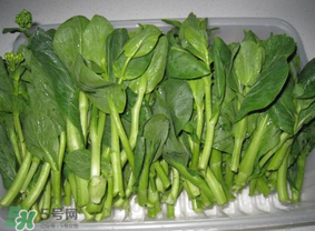 青菜苔可以吃嗎？青菜苔怎么做好吃？