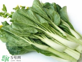 青菜苔可以吃嗎？青菜苔怎么做好吃？