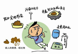 諾如病毒感染要隔離嗎？諾如病毒會傳染嗎？