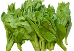 青菜苔可以吃嗎？青菜苔怎么做好吃？