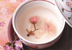 桃花酒孕婦可以喝嗎？懷孕了能喝桃花酒嗎？