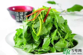 薺菜不能和什么一起吃？薺菜和什么相克？