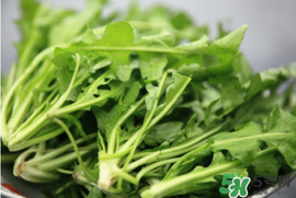 薺菜不能和什么一起吃？薺菜和什么相克？