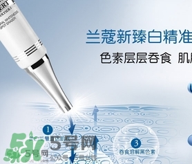 蘭蔻精華乳多少錢？蘭蔻臻白精華乳專柜價格