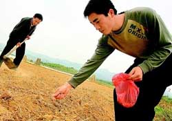 三月份可以種花生嗎？花生幾月份播種比較好？