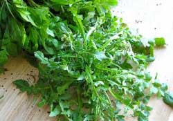 薺菜不能和什么一起吃？薺菜和什么相克？