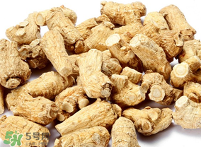 春天可以吃西洋參嗎？春天適合吃西洋參嗎？