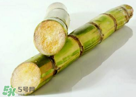 春天能吃甘蔗嗎？春天吃甘蔗有什么好處？