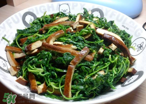 薺菜吃多了會中毒嗎？吃薺菜中毒怎么辦？