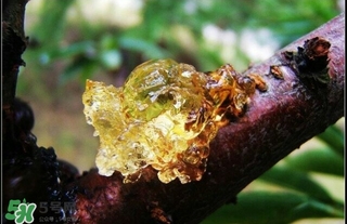 吃什么對皮膚好？怎么吃皮膚好？