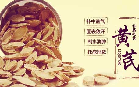 黃芪能治胃病嗎 黃芪能補(bǔ)腎嗎