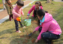 植樹(shù)節(jié)一般種什么樹(shù)？植樹(shù)節(jié)種什么樹(shù)比較好？