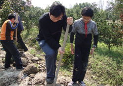 植樹(shù)節(jié)怎樣種樹(shù)？植樹(shù)節(jié)種植的方法及步驟