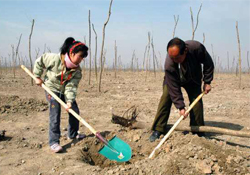 植樹(shù)節(jié)種樹(shù)要注意什么？植樹(shù)要注意哪些細(xì)節(jié)？