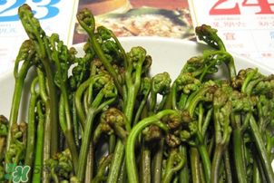 蕨菜為什么苦？蕨菜苦是怎么回事？
