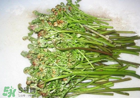 蕨菜怎么去苦味？蕨菜怎么做不苦？
