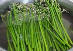 蕨菜怎么洗？蕨菜怎么清洗才干凈？