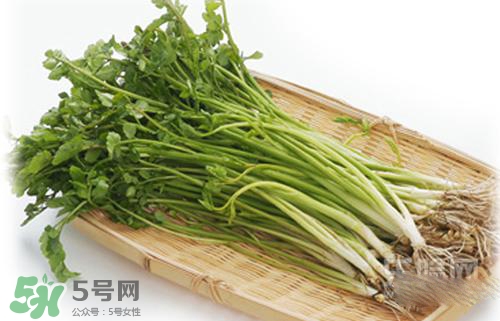吃野芹菜會(huì)中毒嗎？吃野芹菜中毒了怎么辦？