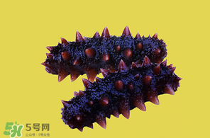 春天能吃海參嗎？春天吃海參效果好嗎？