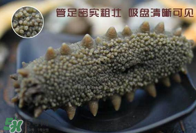 春天能吃海參嗎？春天吃海參效果好嗎？