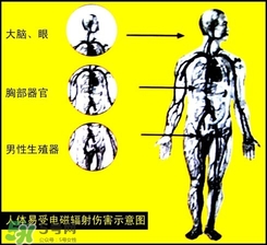 防輻射服什么時候開始穿？防輻射服真的有用嗎？
