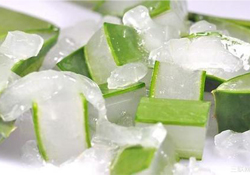 出水痘能用蘆薈膠嗎？水痘破了能擦蘆薈膠嗎？