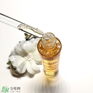 嬌蘭黃金蜜原蜜怎么用？嬌蘭黃金蜜原蜜使用方法