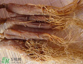 春天能吃紅參嗎？春天可以吃紅參嗎？