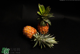 春天可以吃菠蘿嗎？春天吃菠蘿有什么好處？