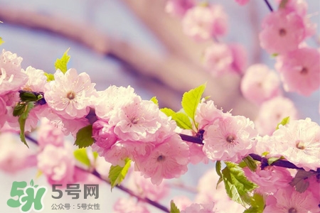 春分是春天的開(kāi)始嗎？春分是春天來(lái)的意思嗎？