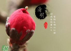 清明節(jié)為什么要吃清明果？為什么清明節(jié)要吃清明果？