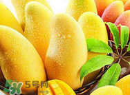 什么人不能吃芒果？哪些人不能吃芒果？