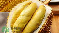 什么人不能吃榴蓮？榴蓮不適合什么人群吃？