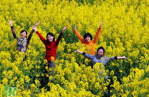 四月份還有油菜花嗎？4月份還有油菜花嗎？